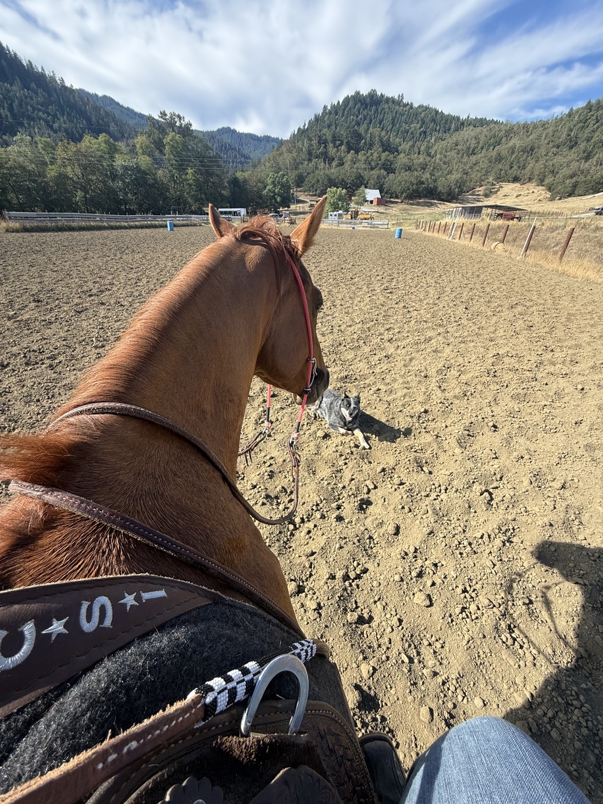 View between a horse's ears in a Douglas County arena