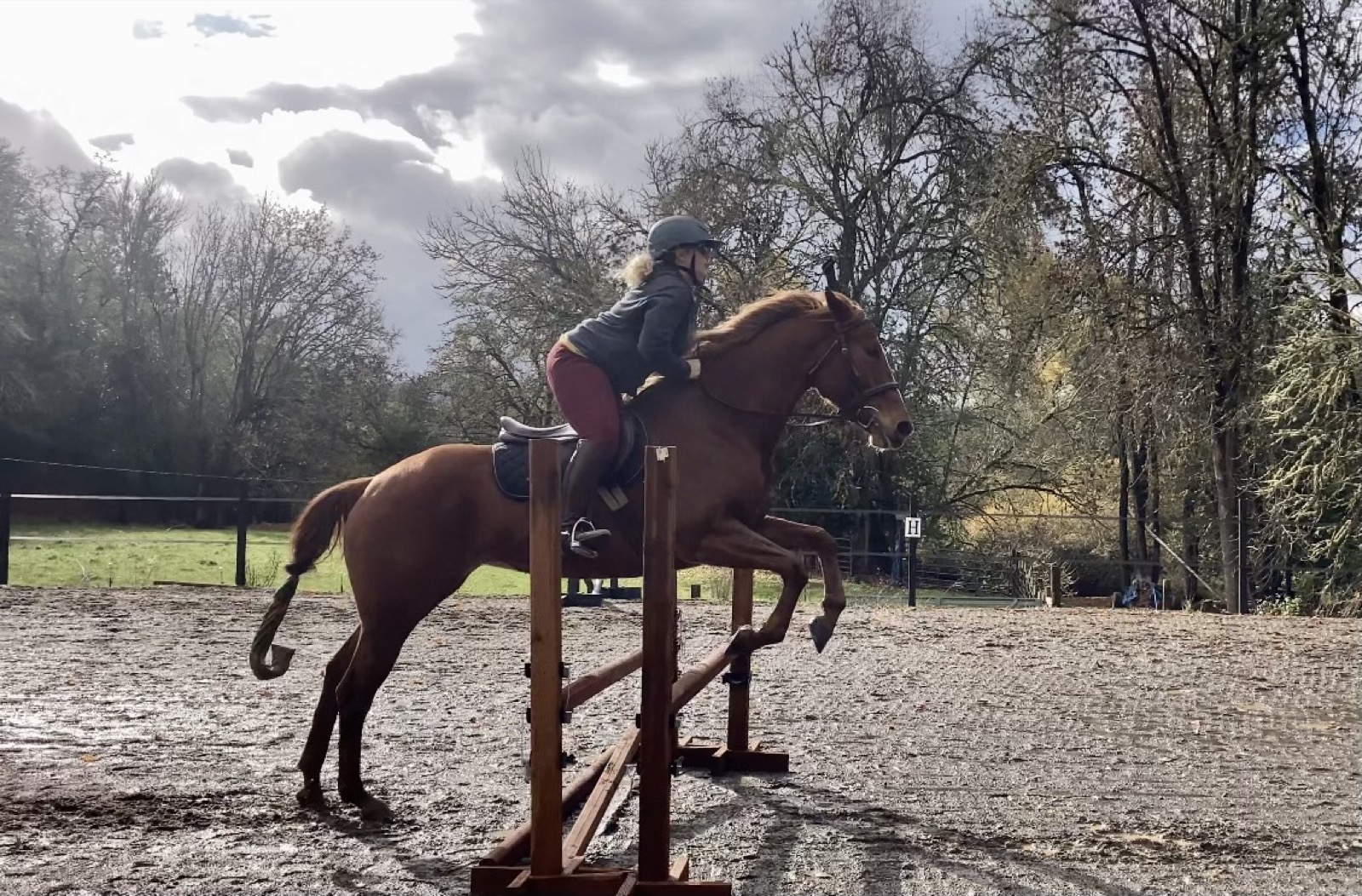 Horse and rider clearing a jump
